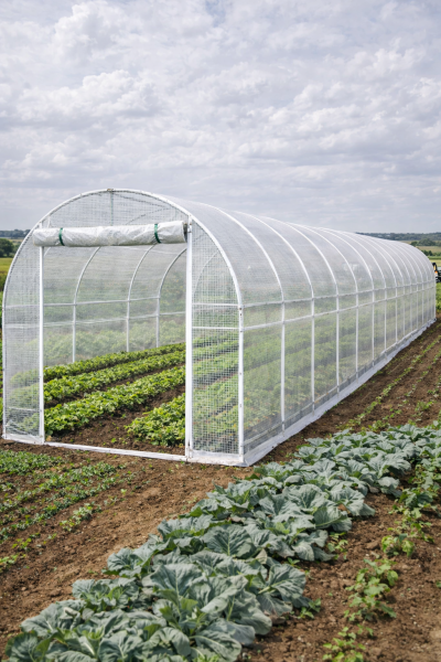 PVC-Gitterfolie 1x1 / 3x3